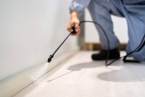 Professional exterminator conducting IPM assessment in Ingleside